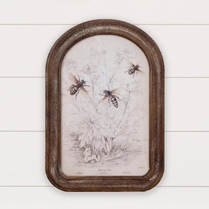 Oval Top Frame with Fabulous Queen Bee & Workers Print